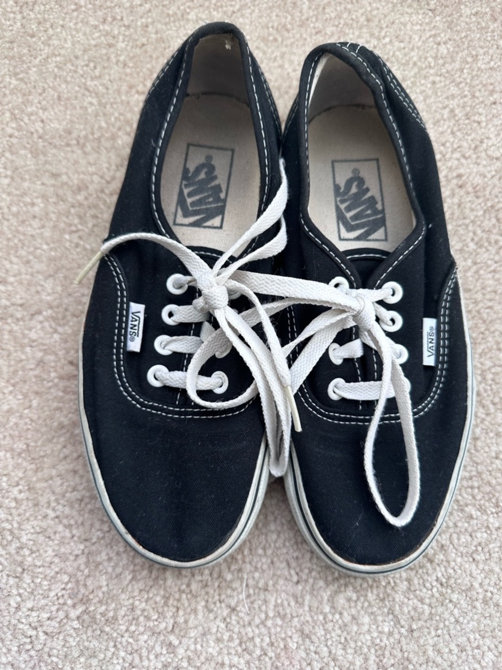 Vans Black Canvas Low-Top Sneakers with White Laces